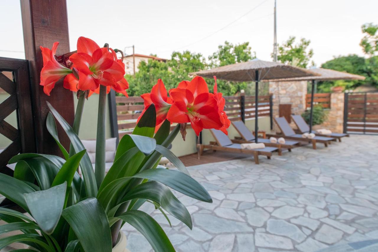 Villa Filyra Kato Gatzea Exterior photo